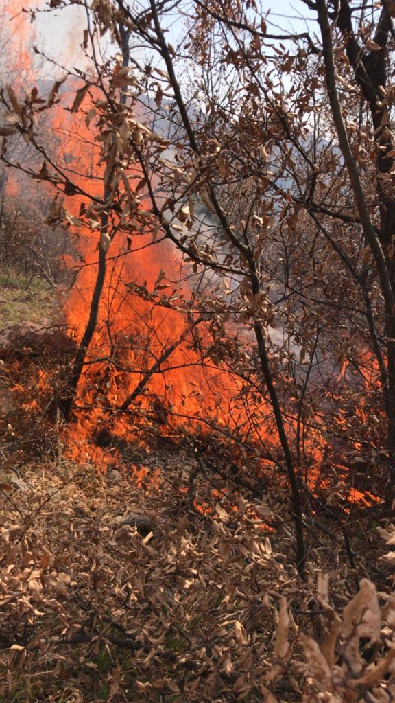 Mat, zjarri rrezikon dy fshatra, terreni malor vështirëson ndërhyrjen e zjarrëfikëses 1 1 10