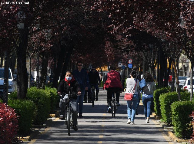 Si do bëhet lehtësimi i masave, Rama: E nisim me makinat private, njësitë tregtare të bëhen gati 640 0 5e8ded3287e93