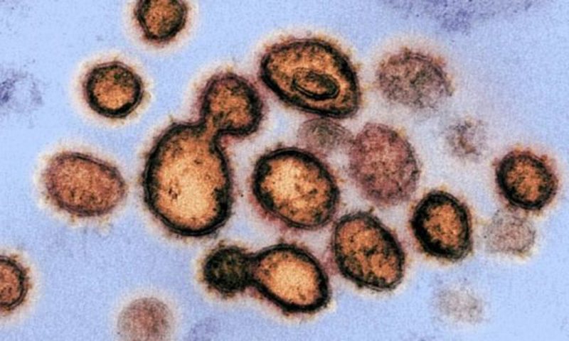Flasin ekspertët: Koronavirusi pëson mutacion, ka tetë lloje që po qarkullojnë në planet 800 0 5e86f91b566f1