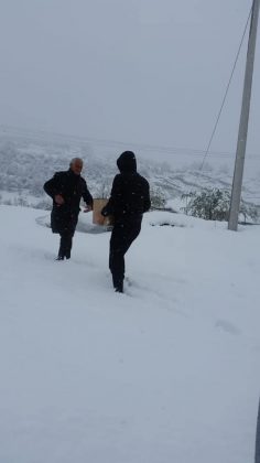Foto/ Malaj: Bashkia e Matit ndau sot 160 pako ushqimore për familjet në nevojë 9 91913709 581502179133089 6716353906252709888 n 236x420 1