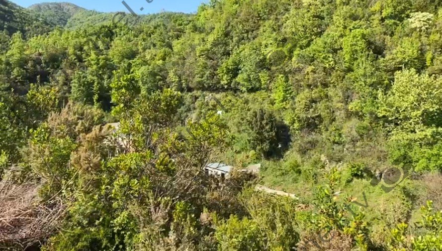 FOTOT/ Pamje nga vendi i ngjarjes: Vrasja e dyfishtë në Lezhë, njëri nga trupat ishte i masakruar 1 Screenshot 14 25