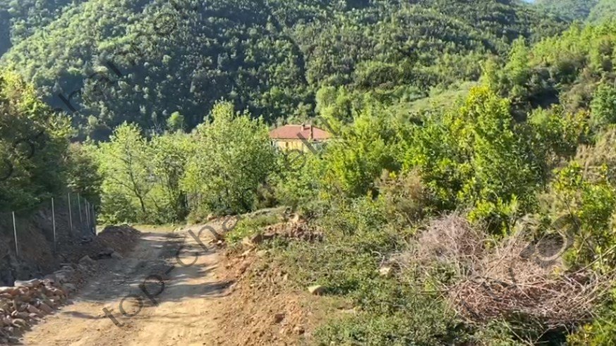 FOTOT/ Pamje nga vendi i ngjarjes: Vrasja e dyfishtë në Lezhë, njëri nga trupat ishte i masakruar 2 Screenshot 15 25