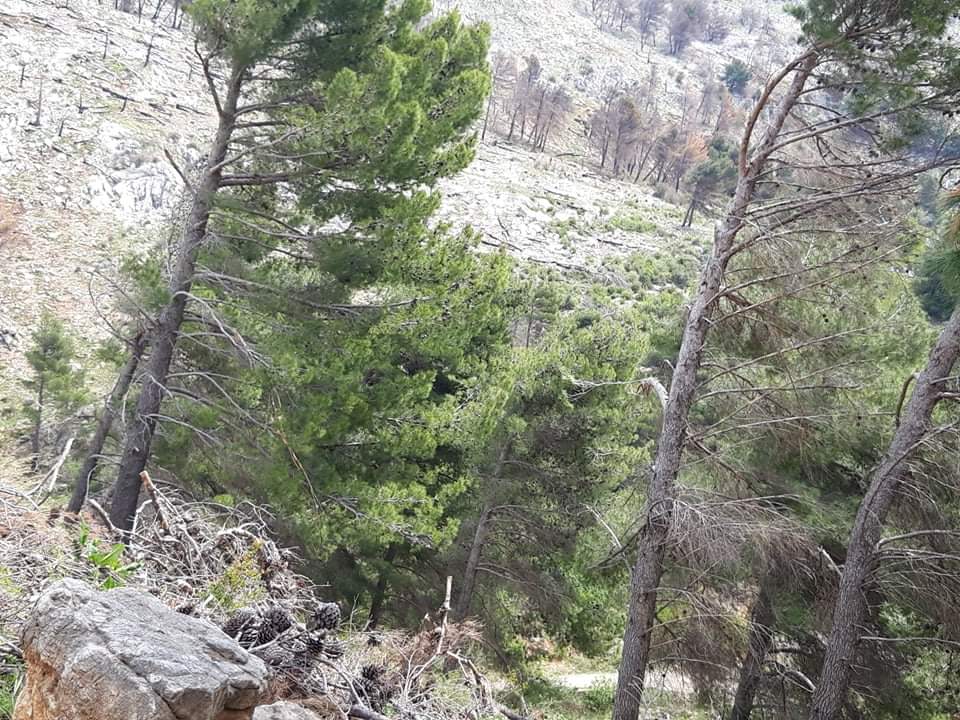 Lindita Kokaj/ Atë cfarë i bëri njerëzimi natyrës, sot natyra po na e kthen ne 2 WhatsApp Image 2020 04 19 at 13.01.00 1