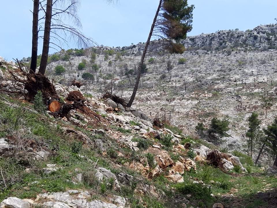 Lindita Kokaj/ Atë cfarë i bëri njerëzimi natyrës, sot natyra po na e kthen ne 3 WhatsApp Image 2020 04 19 at 13.01.00
