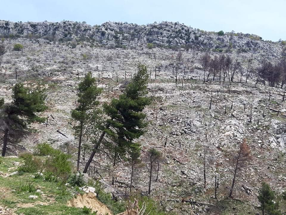 Lindita Kokaj/ Atë cfarë i bëri njerëzimi natyrës, sot natyra po na e kthen ne 6 WhatsApp Image 2020 04 19 at 13.01.01 3