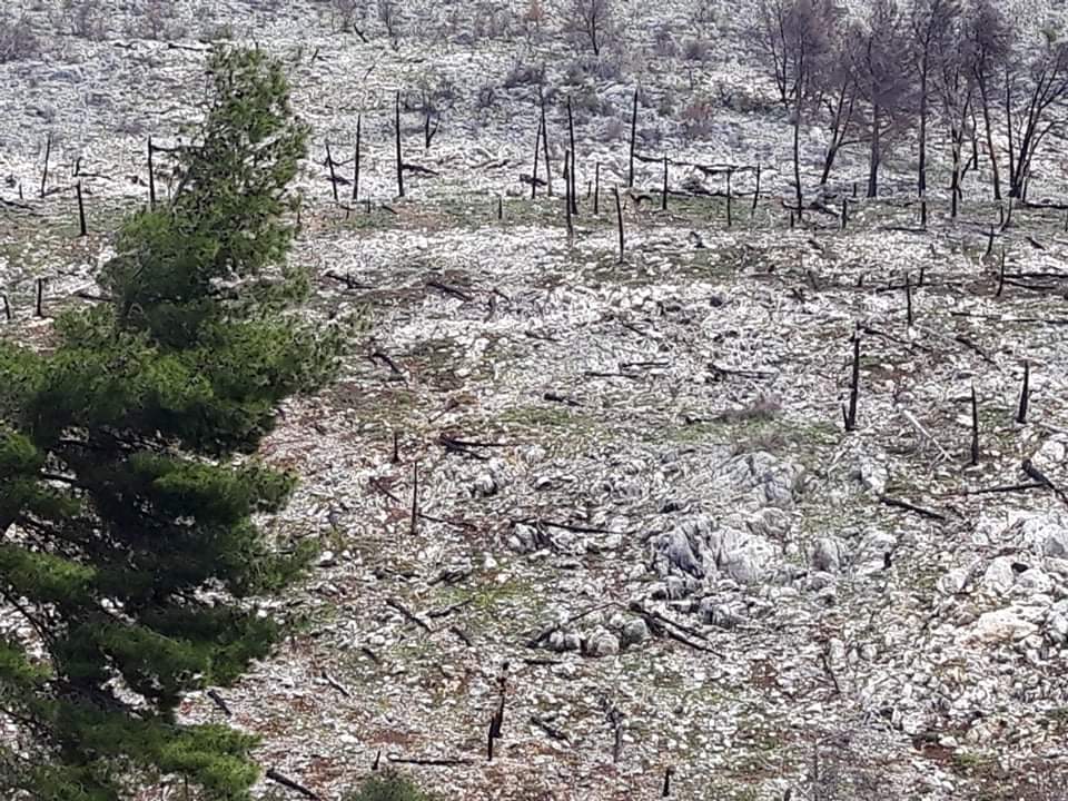 Lindita Kokaj/ Atë cfarë i bëri njerëzimi natyrës, sot natyra po na e kthen ne 5 WhatsApp Image 2020 04 19 at 13.01.02 1