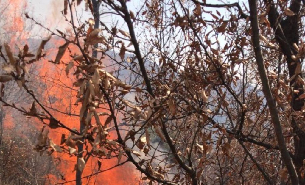 Mat, zjarri rrezikon dy fshatra, terreni malor vështirëson ndërhyrjen e zjarrëfikëses Zjarri 1