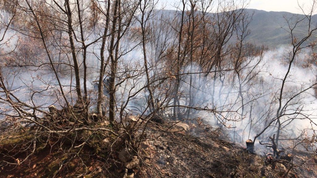Mat, zjarri rrezikon dy fshatra, terreni malor vështirëson ndërhyrjen e zjarrëfikëses 3 Zjarri