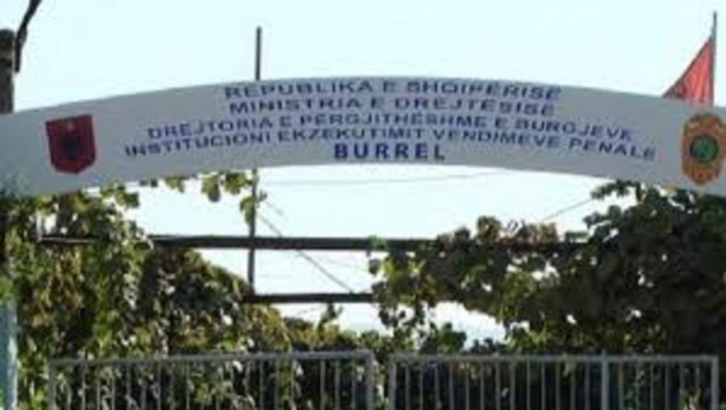 burgu burrel