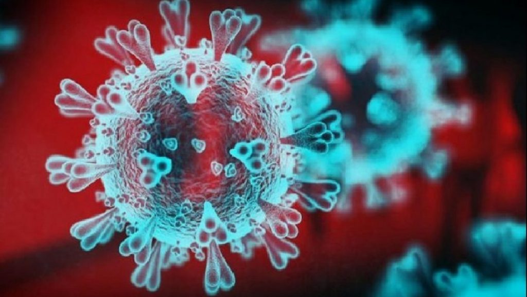 Deputeti shqiptar me koronavirus, infektohet bashkëshortja dhe vajza 3 muajshe korona 1