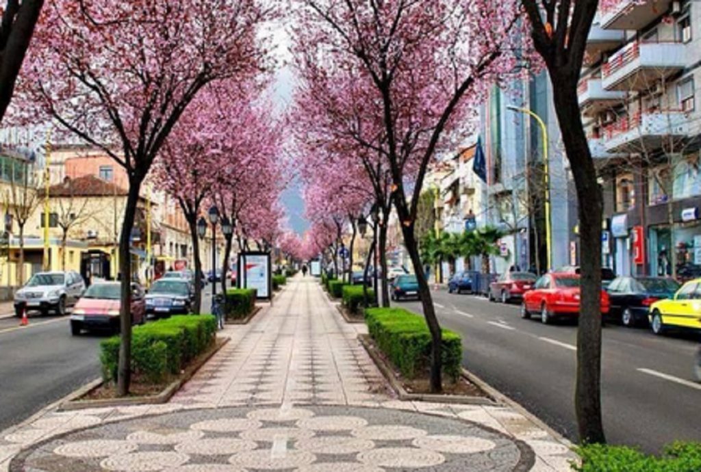tirana pranvere