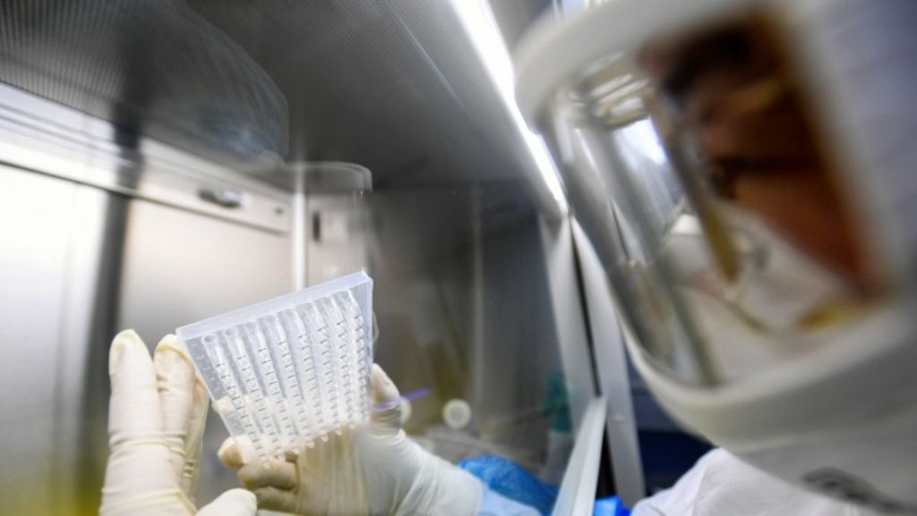 Mediat angleze: SHBA ka financuar me 3.7 milionë dollarë eksperimentet mbi lakuriqët e natës në Wuhan virus 8