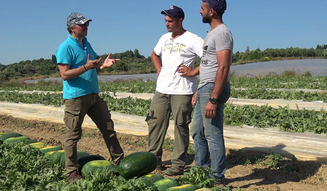 Greqia: Të hapen kufijtë, na duhen shqiptarët për sezonin e vjeljes vjeljet 641x375 1
