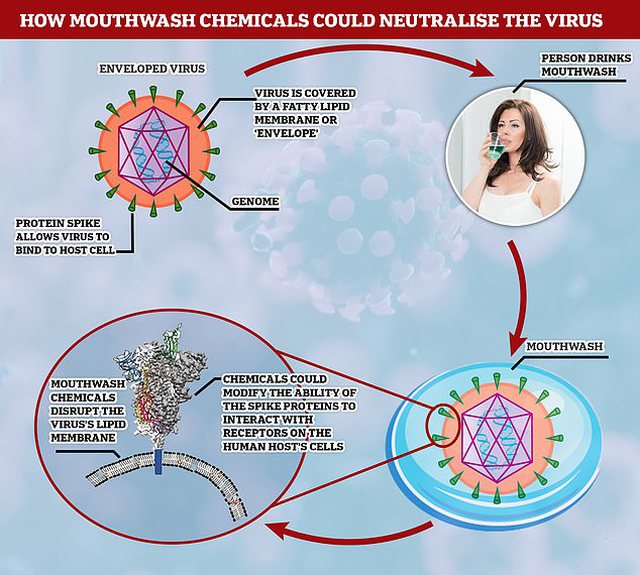 Një veprim i rutinës së përditshme mund të na ndihmojë të shpëtojmë nga infektimi me koronavirus 640 0 5ebea7631a8af
