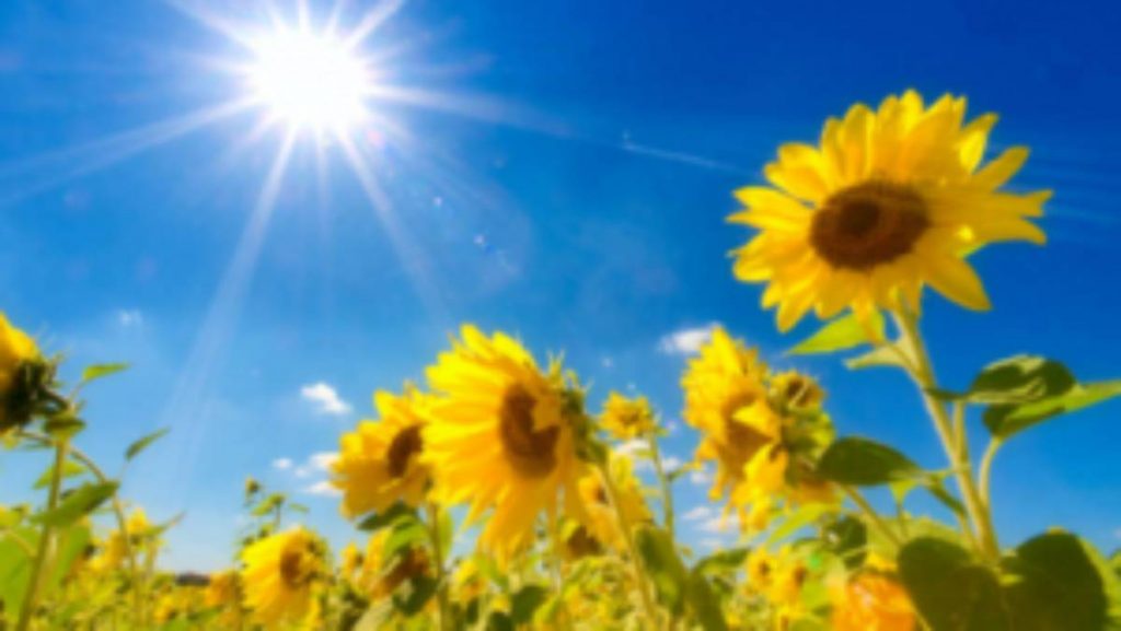 Diell dhe temperatura të larta, njihuni me parashikimin e motit Moti