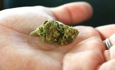 Vajza e vogël gëlltit boçet e hashashit, i kishin lënë prindërit në shtëpi kanabis boce