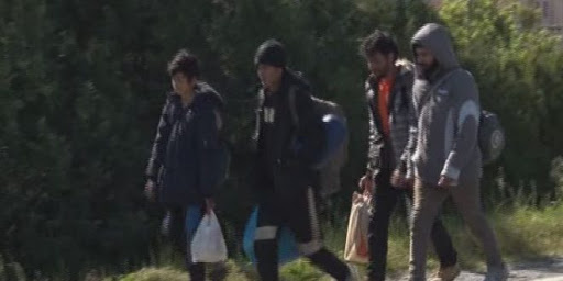 “Është tmerr të na dalin gratë dhe fëmijët në rrugë” / Kampi i azilantëve në Babrru, banorët e zonës: Na vjedhin çdo natë, shtëpitë i izoluam si burgje siriane emigrante