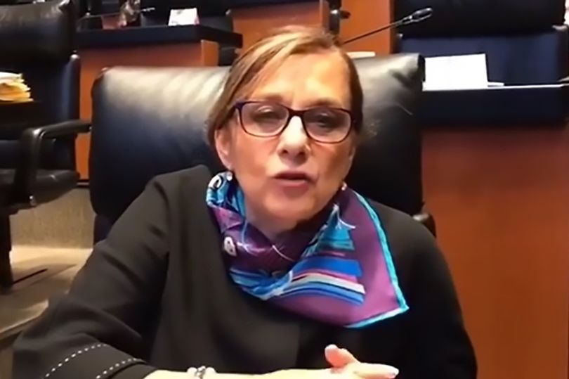 Mendoi se kishte fikur kamerën, politikania del topless para kolegëve në mbledhjen online! 0 CEN SenatorNaked 02
