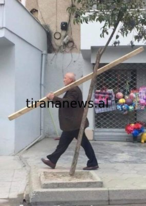 Deputeti i "kaçurrelave" del rrugëve të Tiranës me një hu në dorë 1 103430693 10223327192585478 4654937985589816096 n 1