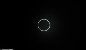 29878298 8444171 image a 44 1592743113595