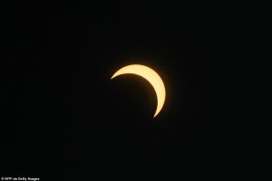 29878314 8444171 image a 50 1592743162782