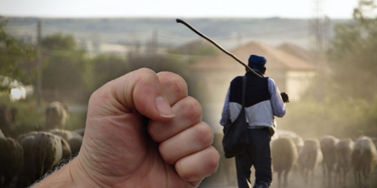 Shqiptari plagos rëndë bashkatdhetarin, por e pëson keq sapo del në rrugë bari