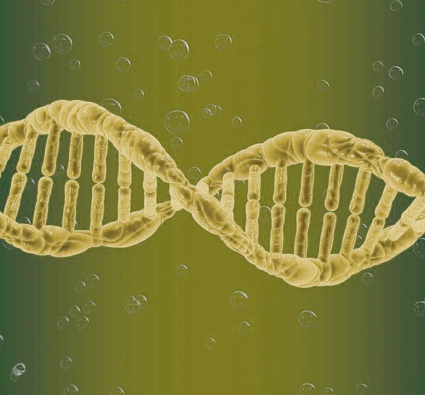Studimi: Faktorët që ndikojnë në ndjeshmëri genetics alcohol neuroscienes public 849x788 1
