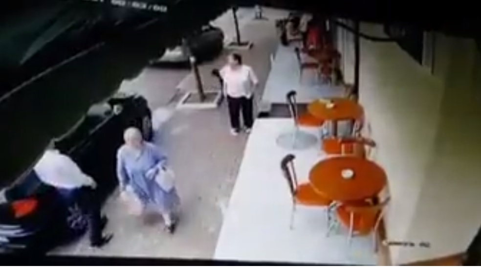 Pronari i lokalit e shtyn në rrugë, qeni ngordh pasi përplaset nga makina (VIDEO) qeni 1