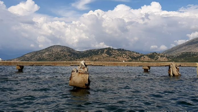 Atraksion i mrekullueshëm turistik në liqenin e Butrintit 895d7cdb b6e8 4e4d 8a19 abf61d75eabc Copy 696x392 1