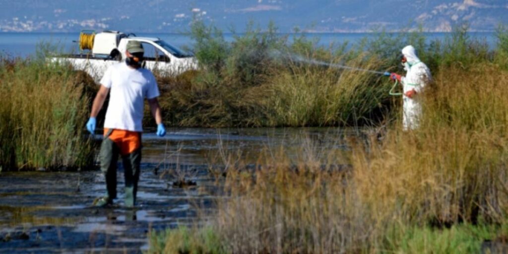 Nuk bëhet fjalë për COVID, një tjetër virus po i merr jetën qytetarëve në Greqi NIL 1