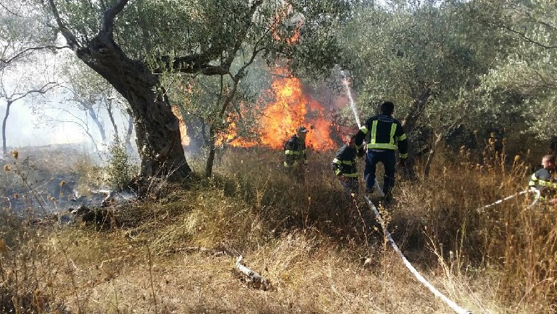 I vuri zjarrin shkurreve për të pastruar tokën, asfiksohet dhe vdes i moshuari në Burrel. Flakët i djegin banesën flake