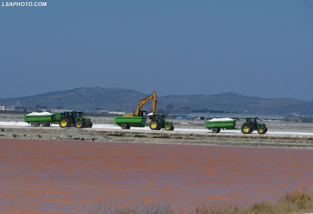 Një “liqen rozë”, pamjet mahnitëse nga Kriporja e Nartës në Vlorë. E para e këtij lloji në Shqipëri 9 kripore narte vlore 1