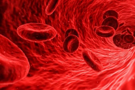 Studimi: Shkencëtarët përcaktojnë se cili grup gjaku është më pak i rrezikuar nga COVID-19 krvna grupa laboratorija istrazivanje organizam nauka pixabay 540x360 1