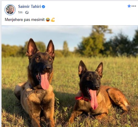 Saimir Tahiri ironizon takimet e Ramës me deputetë e ministra 1 richard grenell