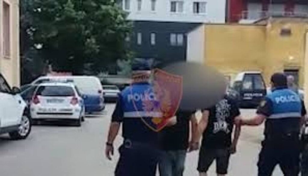 Po transportonin 12 emigrantë të paligjshëm, vihen në pranga 4 persona arrestimet 1
