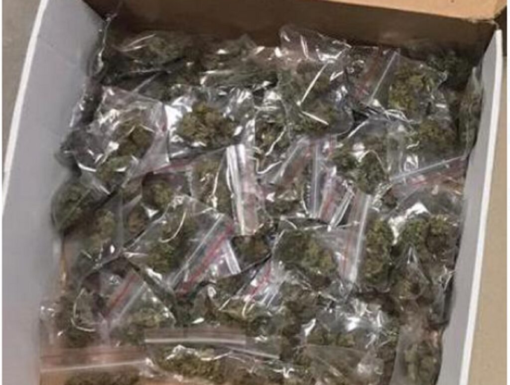 Droga e ndarë në doza gati për shitje, në pranga poseduesi. Tre të tjerë… kanabis doza