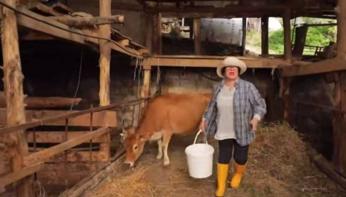 ‘Ua qyqjaaa, ç’të bëka kjo more’, Irini Qirjako tenton të mjelë lopën por ajo e shkelmon Irini Qirjako shkon te mjele lopen