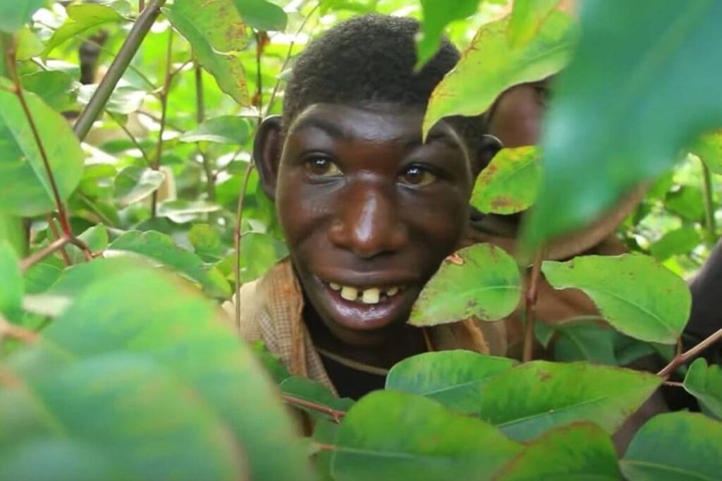 Mogli