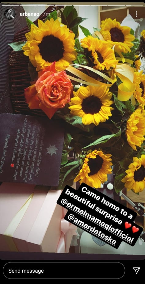 Ami dhe Ermali bëjnë një "surprizë" të vonuar për Diellin e vogël 1 NEN