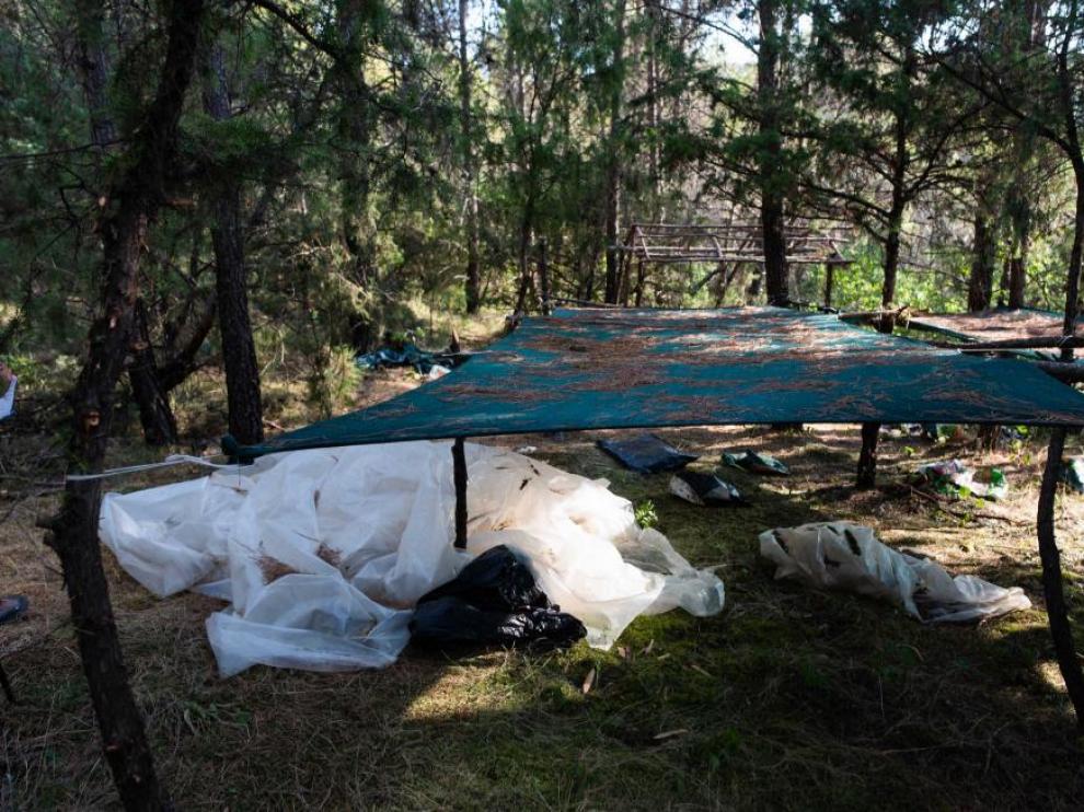 Arrestohen 13 shqiptarë në Spanjë dhe sekuestrohen 18 ton kanabis la policia nacional descubrio 17 pequenas explanadas en las que se repartian mas de 7 800 plantas de marihuana con un