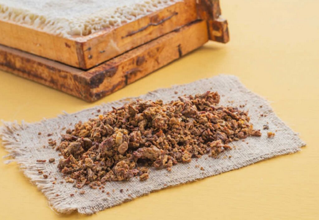 propolis covid