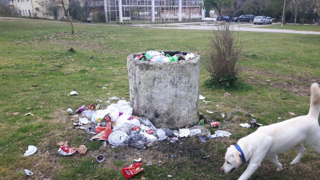 Arbi Fortuzi / Gjobë edhe për ata që ndotin natyrën, pse jo!? 132333558 10225646911658641 3169053970795141868 o