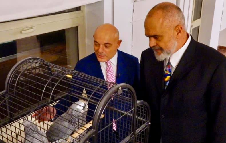 Nga ora me diamante tek pikturat e rralla/ Rama zbulon koleksion e dhuratave të veçanta brenda Kryeministrisë (Foto) 132591598 10158408992826523 7010925276160606237 n
