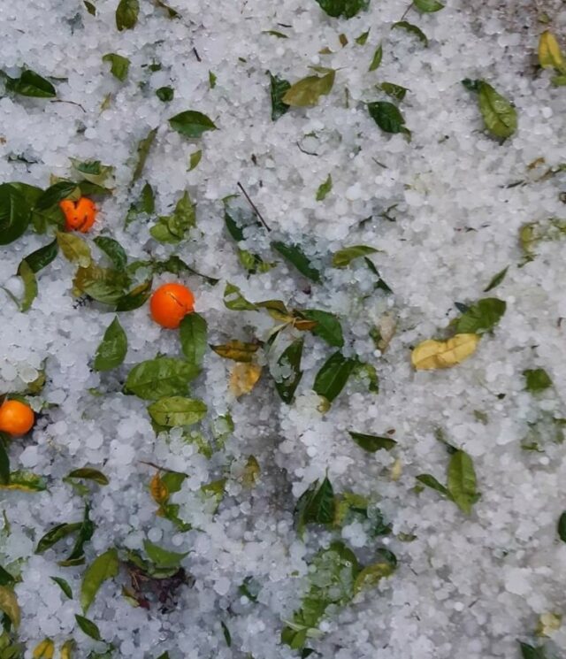 Breshëri pushton Himarën, zbardhet plazhi i Borshit 3 3 1