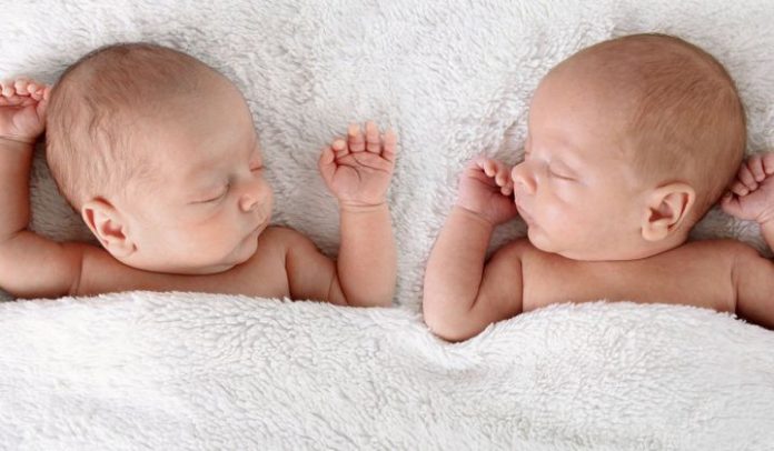Binjakët identikë nuk janë edhe aq… identikë Les vrais jumeaux ne sont pas si identiques qu on le pense 696x406 1