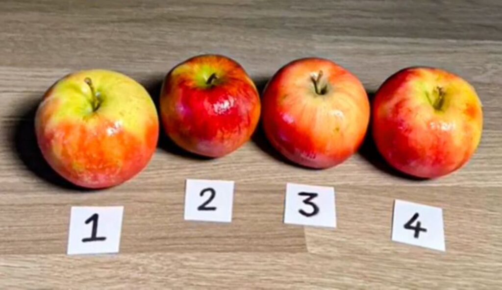 Testoni intuitën tuaj: Cila nga këto 4 mollë është ëmbëlsirë dhe jo reale? a0c97156bcbb3439309fcb14de