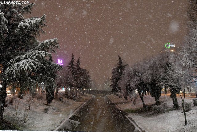 tirana 10
