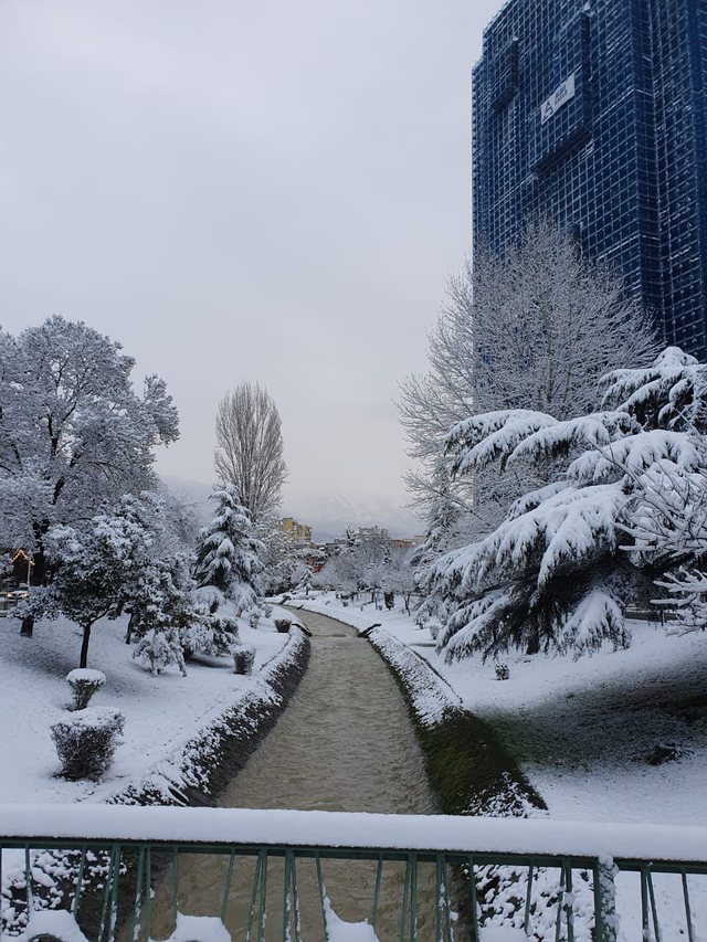 tirana 12