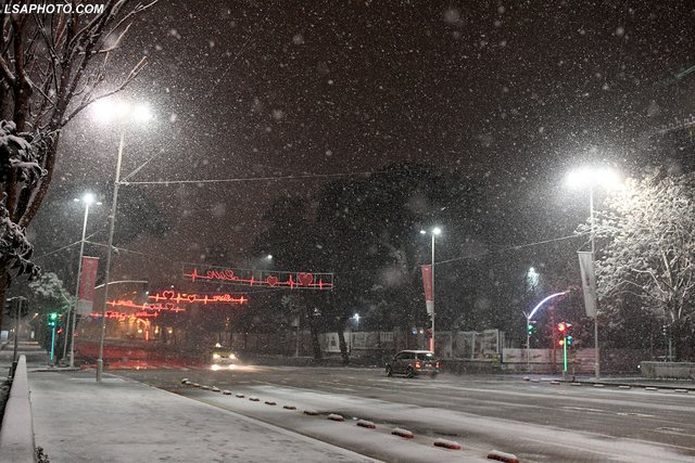 tirana 13