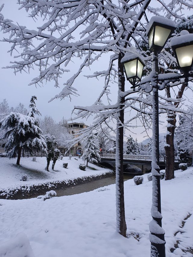 tirana 14